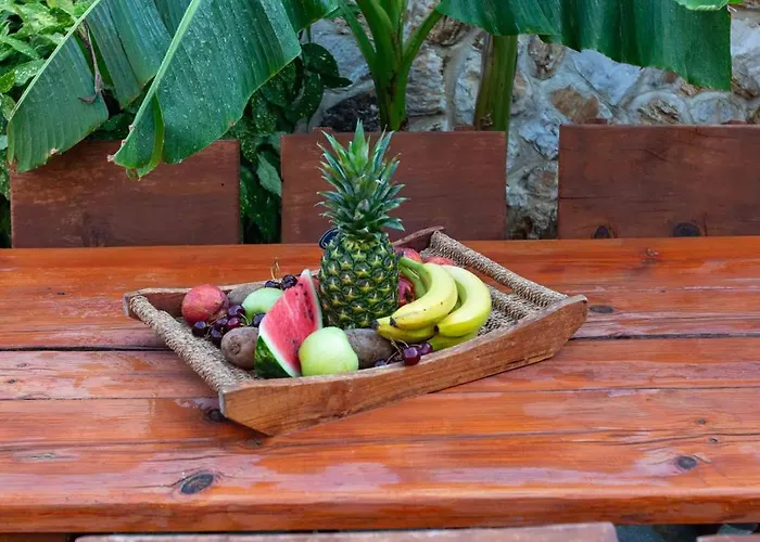 Luxury House Papadimitriou *