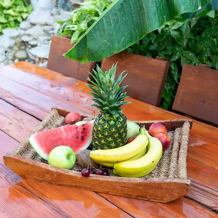 Luxury House Papadimitriou 펜션