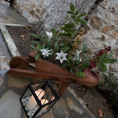 Luxury House Papadimitriou Holiday home